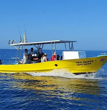 Sea Snake Boat
