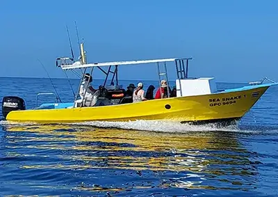 Sea Snake Boat