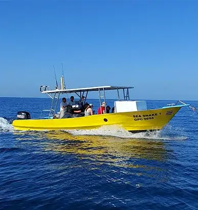 Sea Snake Boat_11zon 1