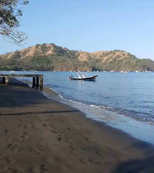 Species to catch fishing out of Playas del Coco