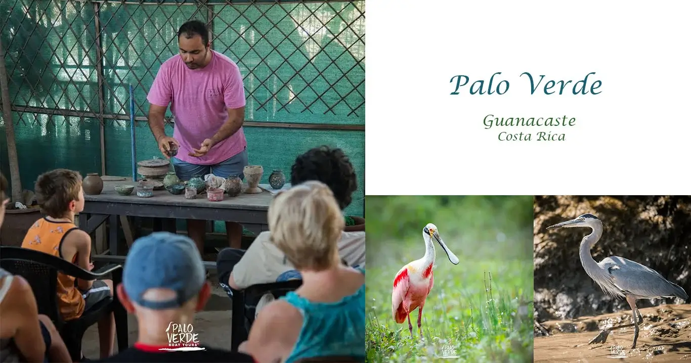 palo verde geande1