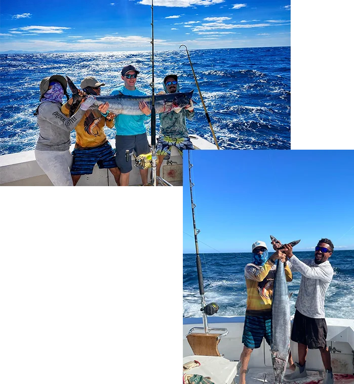 wahoo