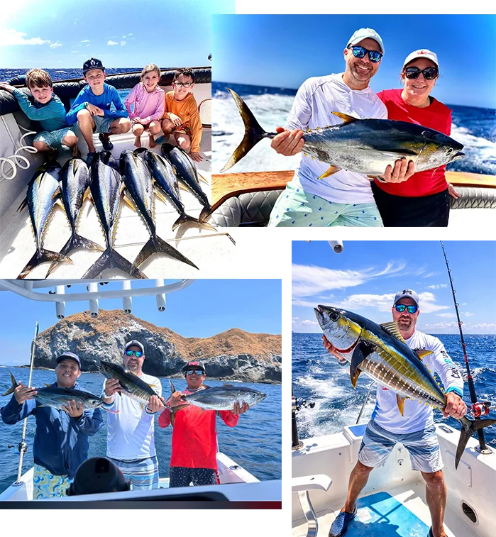 yellowfin