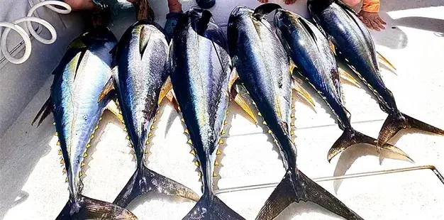 Playa Conchal Fishing Charters 6_11zon 1