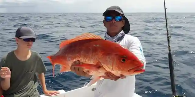 conchal inshore