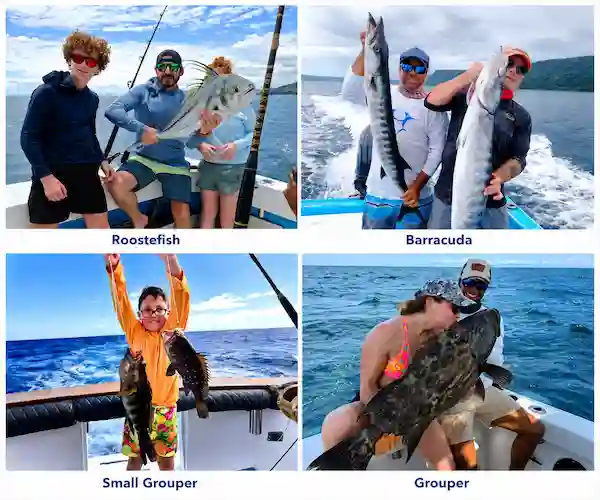 Inshore species in Playa Conchal