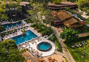 Mangroove Papagayo