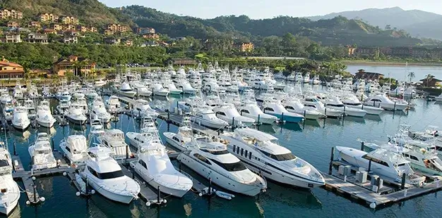 Mangroove Papagayo 5_11zon 1