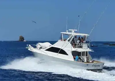 Ocean Yacht 50ft