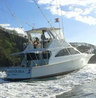 Ocean Yacht 50ft