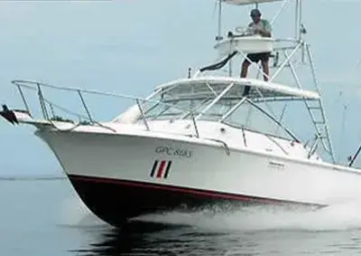 Phoenix 31ft Boat
