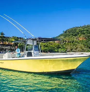 Sailfish 30ft Boat