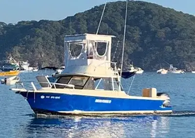 Bertram 28ft boat
