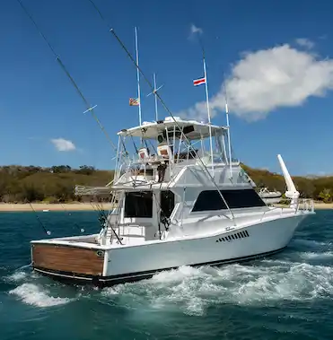 Viking 50ft Yacht