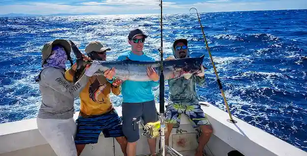offshore 626X319