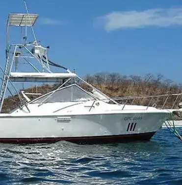 Phoenix 31ft Boat
