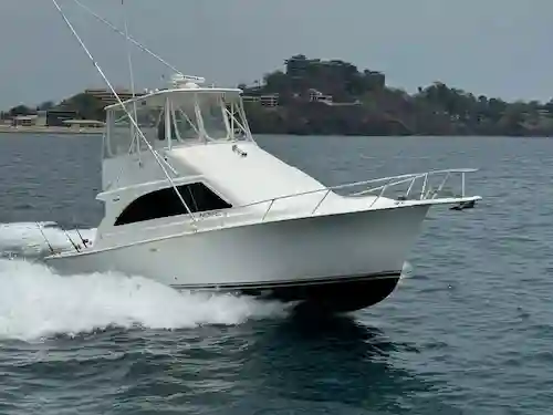 Ocean 45ft Yacht Flamingo fishing Trips