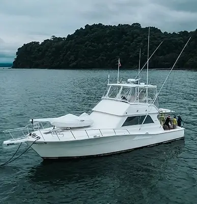 viking 4 1