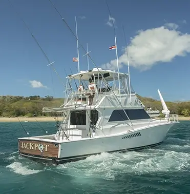 Viking 50ft Yacht