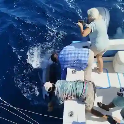 Fishing Charters Papagayo Costa Rica
