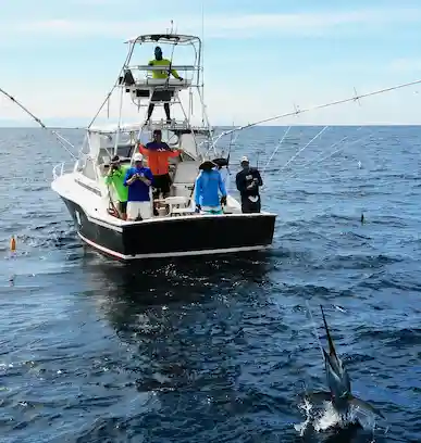 blackfin 02