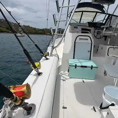 Boston Whaler Flamingo Fishing