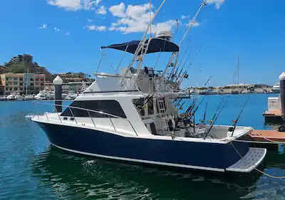 Cabo Express 35ft Flamingo