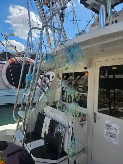 Playa Flamingo Fishing Charters