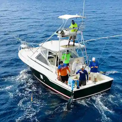 Flamingo Costa Rica Fishing