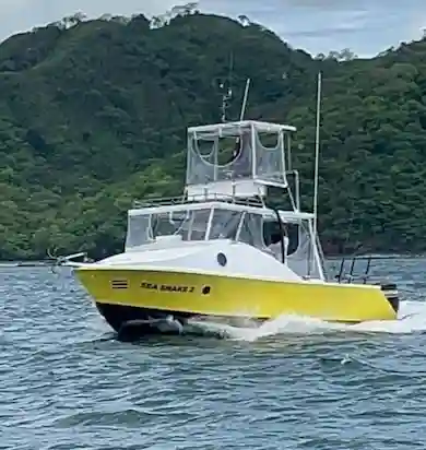 seasanek 01