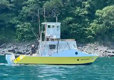 Papagayo fishing
