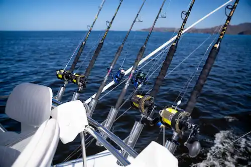 Riviera 38ft Flamingo Fishing Charters