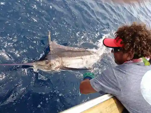 Ocean Yacht 50ft Papagayo Deep Fishing