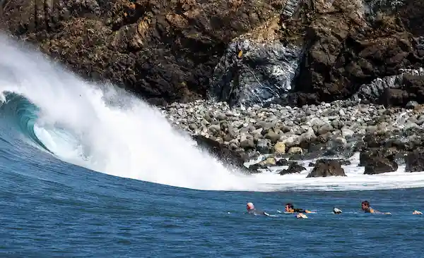 Ollies Points Surf Tours