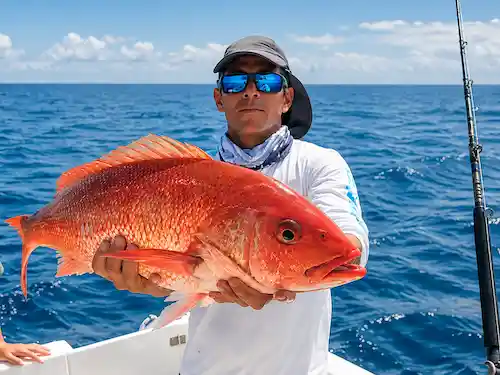 Other species to catch in Papagayo Costa Rica