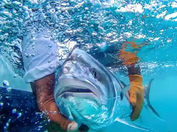 Fishing for roosterfish in Papagayo Costa Rica