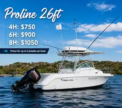 Samara Sportfishing on the Proline 26ft